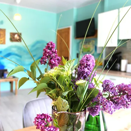 Apartment Steffis-strand-schule